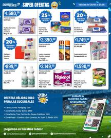 Catálogo Supermercados Damesco semana 22 Página 8