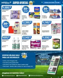 Catálogo Supermercados Damesco semana 22 Página 8