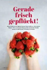 Combi Magazin Seite 34