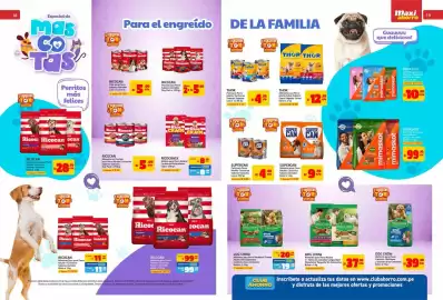 Catálogo MaxiAhorro Página 10