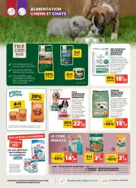 Catalogue Animalis page 2