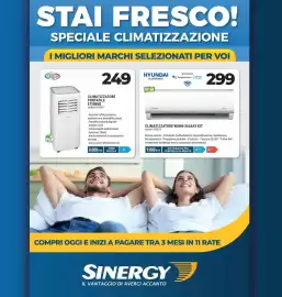 Volantino Sinergy Pagina 13