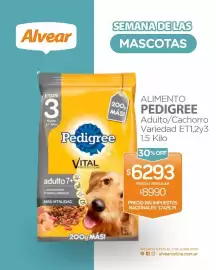 Catálogo Alvear semana 22 Página 13