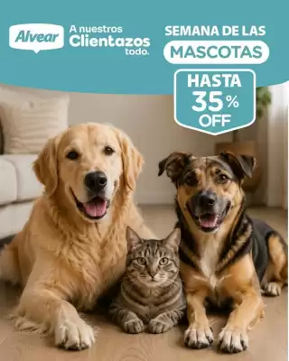 Alvear (válido hasta 3-06)