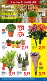 Folheto Lidl semana 23 Página 27