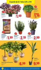 Folheto Lidl semana 23 Página 28