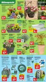 Thomas Philipps Prospekt woche 23 Seite 5