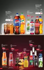 Catalog Selgros Pagină 14