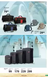 Catalog Selgros Pagină 25