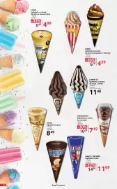 Catalog Selgros Pagină 52