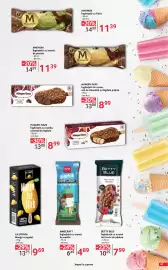 Catalog Selgros Pagină 53