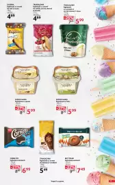 Catalog Selgros Pagină 55