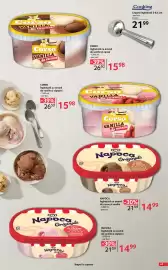 Catalog Selgros Pagină 63