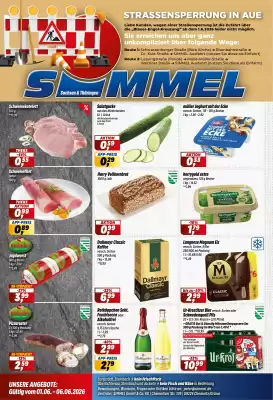Simmel (gültig bis 6-06)