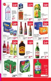 Catalog Selgros Pagină 25