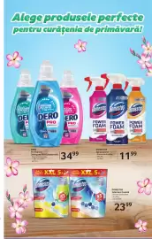 Catalog Selgros Pagină 33