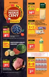Biedronka gazetka Strona 1