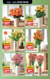 Biedronka gazetka Strona 13