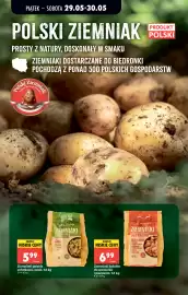 Biedronka gazetka Strona 22