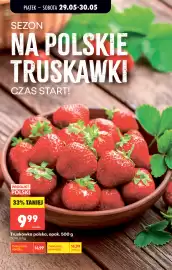 Biedronka gazetka Strona 23
