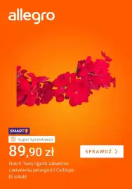 Allegro gazetka tydzień 22 Strona 2