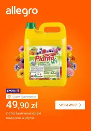 Allegro gazetka tydzień 22 Strona 4