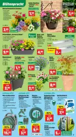 Thomas Philipps Prospekt woche 23 Seite 3