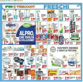 Volantino Iper Triscount Pagina 17