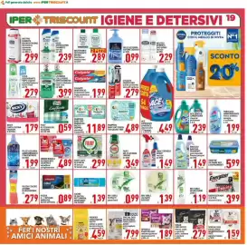 Volantino Iper Triscount Pagina 19