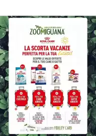 Volantino Zoomiguana Pagina 1