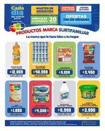 Catálogo Surtifamiliar Página 3