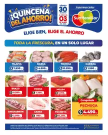 Catálogo Surtifamiliar Página 4