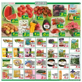 Volantino Idromarket Pagina 15