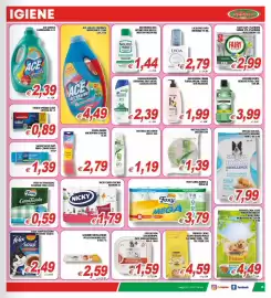Volantino Gesad Supermercati Pagina 15