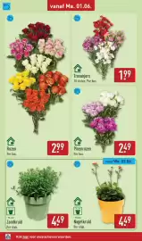 ALDI folder week 23 Pagina 36