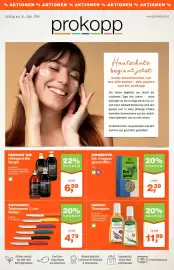 Prokopp Flugblatt Seite 1