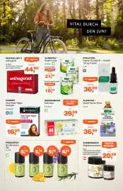 Prokopp Flugblatt Seite 5