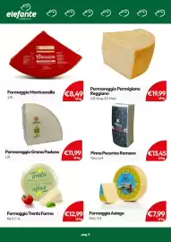Volantino Elefante Cash & Carry Pagina 8