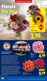 Lidl weekly ad week 23 Page 26