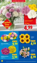 Lidl weekly ad week 23 Page 28