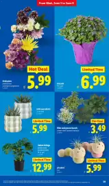 Lidl weekly ad week 23 Page 29