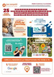 Volantino Joe Zampetti Pagina 48