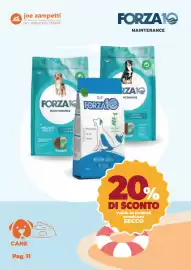 Volantino Joe Zampetti Pagina 12