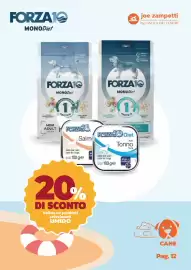 Volantino Joe Zampetti Pagina 13