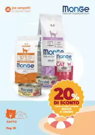 Volantino Joe Zampetti Pagina 20