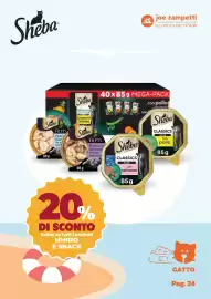 Volantino Joe Zampetti Pagina 25
