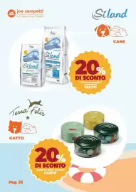 Volantino Joe Zampetti Pagina 26