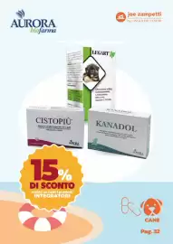 Volantino Joe Zampetti Pagina 33