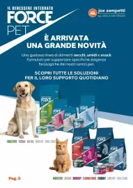 Volantino Joe Zampetti Pagina 4