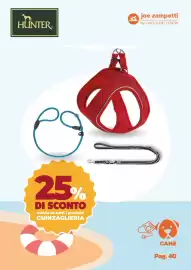 Volantino Joe Zampetti Pagina 41